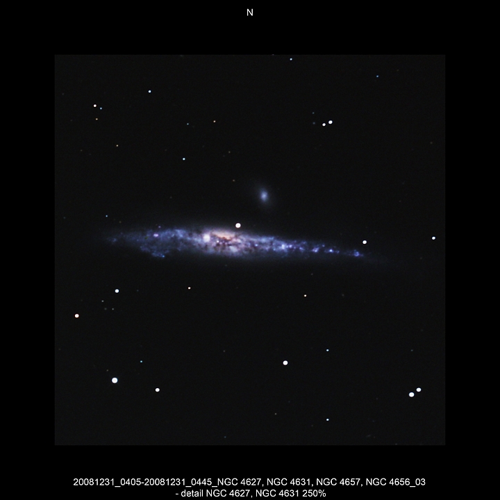 20081231_0405-20081231_0445_NGC 4627, NGC 4631, NGC 4657, NGC 4656_03 - det. NGC 4631 250pc.JPG -  CVn Newton d 309,5 / af 1623 & Coma Corrector CANON-EOS5D (AFC-Filter) 1000 ASA no add. filter 4 light-frames 360s, auto dark, 5 flat, 10 bias Guidemaster, DSS, Canon-RAW-Image, Adobe-PS-CS3  